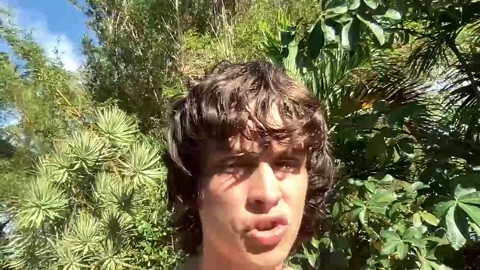 jungleliving333  27-07-2022
